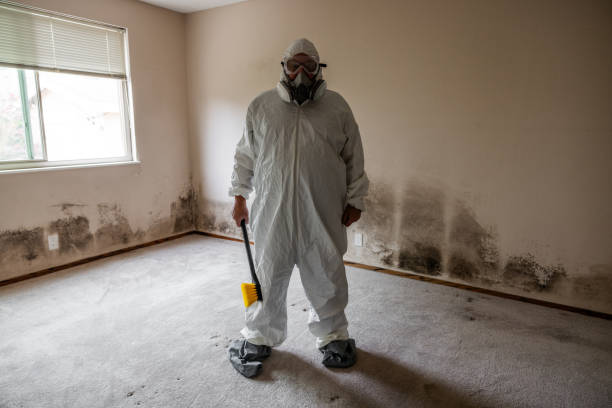 Best Residential Mold Remediation in Crosspointe, VA